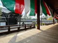 東福寺の写真_555156