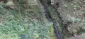 清流新岩国駅の写真_555489