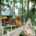 The Saunaの写真_556555