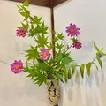 蕎麦処 うずら家の写真_556668