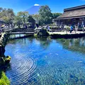 忍野八海の写真_556695