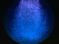 鶴岡市立加茂水族館（クラゲドリーム館）の写真_557007