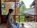 武家屋敷跡 野村家の写真_557339
