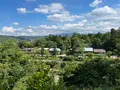 金沢城公園の写真_557429