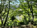 金沢城公園の写真_557432