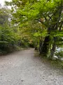 中禅寺湖の写真_558683