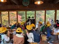 竜頭ノ滝の写真_558767