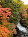 竜頭ノ滝の写真_558769