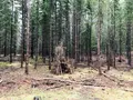 Pietiläntie 23の写真_558875
