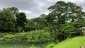 兼六園の写真_559030