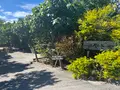 屋宜家の写真_559574