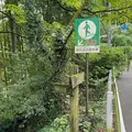 御岳渓谷の写真_559595