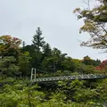 御岳渓谷の写真_559596