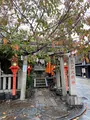 祇園白川の写真_560398