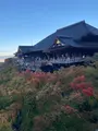 清水寺の写真_560425