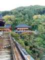 清水寺の写真_560426