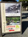建仁寺の写真_560437