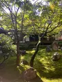 建仁寺の写真_560443