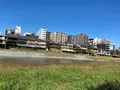 鴨川の写真_560449