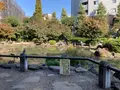 新井薬師公園の写真_560513