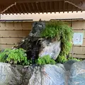 馬橋稲荷神社の写真_560515