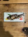 釜めし なかいの写真_560778