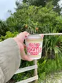 座間味島の写真_560822