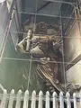 東大寺 南大門の写真_561133