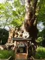 来宮神社 鳥居の写真_561156