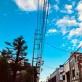 秩父神社の写真_561184