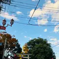 秩父神社の写真_561185