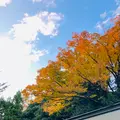 秩父神社の写真_561186