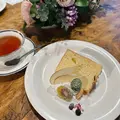 山鳩の写真_561252