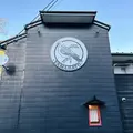 山鳩の写真_561253