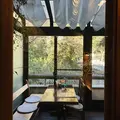 山鳩の写真_561255