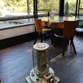 山鳩の写真_561256