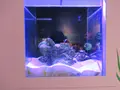 康倪海洋生技丑丑館の写真_561356
