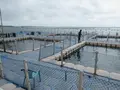 海上皇宮海洋牧場の写真_561408