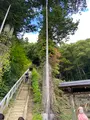 大内宿の写真_561541