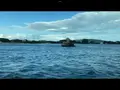 松島島巡り観光船の写真_561863