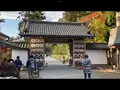 瑞巌寺の写真_561899