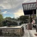 猫の細道の写真_561992