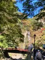 箕面大滝の写真_562051