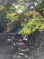 箕面大滝の写真_562052