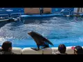 仙台うみの杜水族館の写真_562132