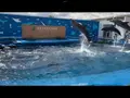 仙台うみの杜水族館の写真_562135
