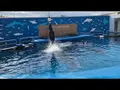 仙台うみの杜水族館の写真_562136