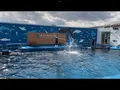 仙台うみの杜水族館の写真_562137