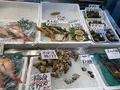 能登食祭市場の写真_562308