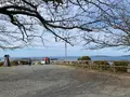 城山公園の写真_562769